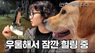 산후우울증 찾아온 다다 힐링하러 왔습니다.