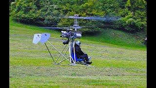 Coaxial ultralight helicopter