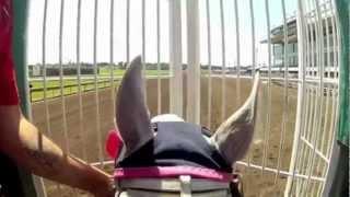 Quarter Horse Helmet Cam at Canterbury Park with Jockey Jeramie Fennell