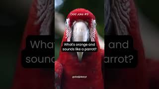 what's orange and sounds like a parrot