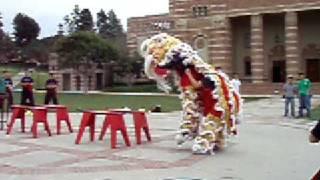 Lion Dance - Senior