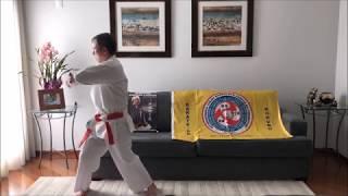 Kata Naihanchi Shodan