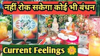 नही रोक सकेगा अब कोई भी बंधन Current Feelings Next Action With Angel Guidance Timeless Tarot 