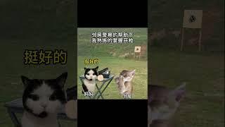 #猫meme #cat #猫meme小剧场 #猫meme剧场