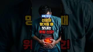 신장이 망가질 때, 보내는 위험 신호!! 당장 확인하세요!!