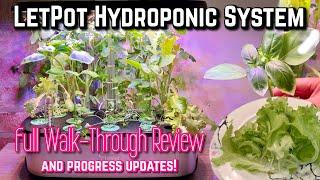 LetPot Hydroponic System Set Up | HONEST REVIEW with Progress Updates | Easy Indoor Gardening