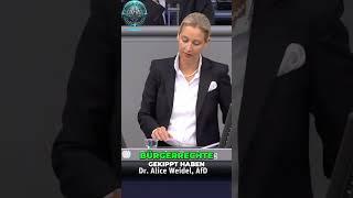  Alice Weidel: Ermächtigungsgesetze – Zurück zu den Bürgerrechten? ️