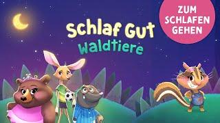 Schlaf Gut Waldtiere  Beruhigende Gute Nacht App für Kinder zum Einschlafen mit Einschlafmusik