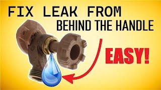 How To Fix Water Leak Behind the Handle EASY! | Outdoor Hose Faucet Spigot | Replace Packing Washer