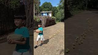 He said there was no food at home and he took the duck to his classmate's house for a walk