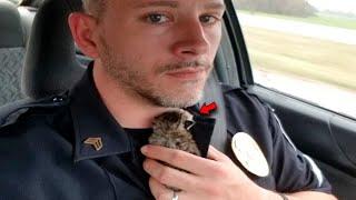 The newborn kitten clung to life thanks to the warmth of the man, the seconds counted