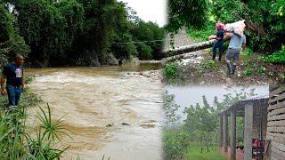 Un dia Bajo lluvia en el Naranjal, La vida del campo