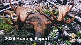 Fall 2023 Hunting Report from Golden Bear Outfitting