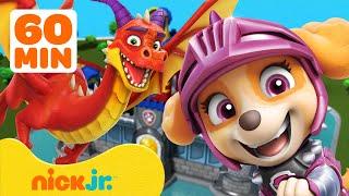 PAW Patrol Dragon Adventures & Rescues!  1 Hour | Nick Jr.