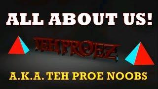 Introduction to Teh Proez