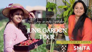 JUNE GARDEN TOUR | A DAY IN OUR GARDEN | In Collaboration with SMITA'S FRESH FROM MY GARDEN