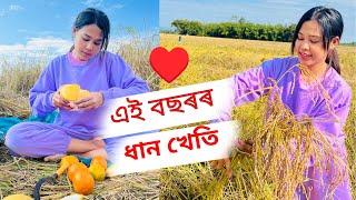 My village life ️ | এই বছৰৰ ধান কাতিব আহিলো | Chitralekha Doley