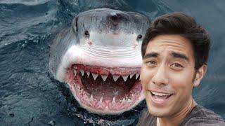 Zach King Vine and Tik Tok Compilation 2020 - Best Magic Vines !!! (Part 10)