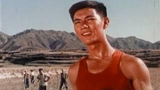 我们村里的年青人Youth in Our Village (1959)（长影）