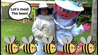 Educational Learning Video- Planet Peek-A-Boo- S2 Episode 3 Bee's, BeeKeeping - Pollination Song