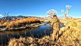 Fishing Remote Stocked Sections Of The Owens River For Rainbow Trout | Owens Valley #troutfishing