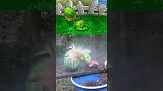 Melon Pult React to "Hot Watermelon Compilation" #1 (PVZ) #pvz #plantsvszombies