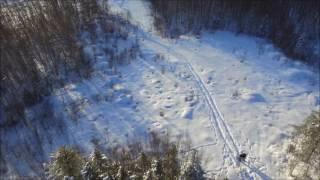 Short Flight After a Fresh Snowfall, January 8, 2017