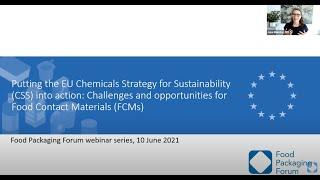 Putting the EU Chemicals Strategy for Sustainability into Action: Looking Forward