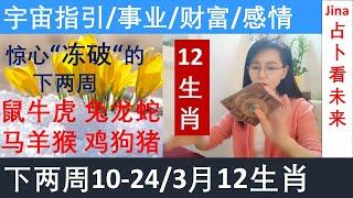 12生肖10 -24日/阳历3月惊心动魄的下两周焦点&事业&财富&感情和宇宙的指引2025年3月中时间轴在下方