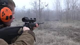 Wild Boar Hunting,Wildsau Jagd,Chasse Au Sanglier 2020