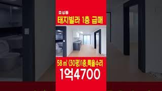 (매매완료) 효성동 태지빌라급매 1층, 특올수리 30평형전용18 즉시입주가능, 대출가능 쇼츠 shorts