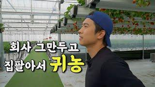 "와이프 반대에도 대기업 퇴사하고 스마트팜해요"  |  청년창업농 1부