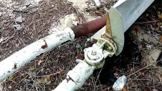 Abandoned Gas Station In Florida!