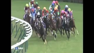 2016.05.01 Tenno Sho (Spring) (JPN) - Kitasan Black