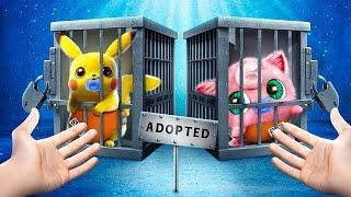 We Adopted a Pokemon! My Pokemon is Missing!