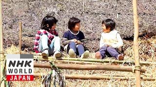 Thatched Living: A Nostalgic Future - NHK WORLD-JAPAN