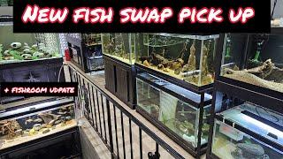 I BOUGHT A RARE ALIEN FISH FROM FISH SWAP! + FISHROOM UPDATE