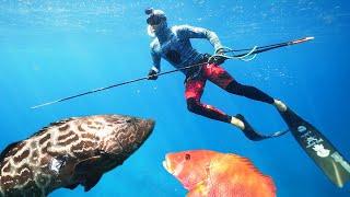 This GIANT Grouper was Just the BEGINNING! Crazy Spearfishing In the BAHAMAS!