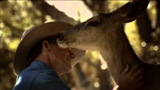 Wild Deer Bonds With Human | Nature on PBS