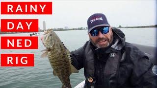 RAINY DAY NED RIGS - Dave Mercer's Facts of Fishing THE SHOW Season 13 Full Episode