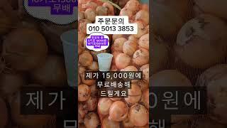 햇양파 저상성좋고 단단하고 맛잏는 양파사세요  5키로 만원 10키로 15천입니다#햇양파#양파#짱아치 #제철과일