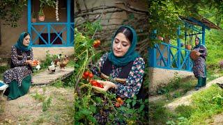 Cooking Parabij | Farm-to-Table