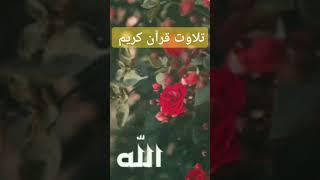 تلاوت قرآن کریم ️