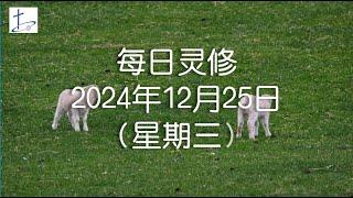 每日灵修2024年12月25日（星期三）腓立比书3章12节  (English translation in description box)