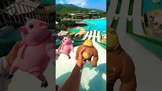 Squishy Monkey and Piggy's Epic Waterslide Challenge!