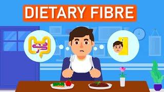 Dietary Fibre: The Most Important Nutrient? Best Fiber Foods?