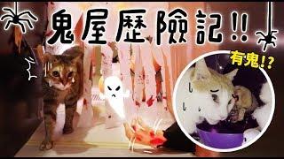 【黃阿瑪的後宮生活】鬼屋歷險記！猛鬼vs餓貓！萬聖節企劃