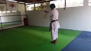 Teesho kata shorin Ryu shinshukan