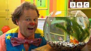 Mr Tumble Loves Animals! | CBeebies