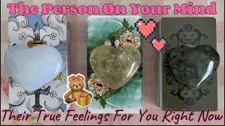 How Is Your Person Really Feeling About You Right Now?Timeless Pick A Card Love Tarot Reading